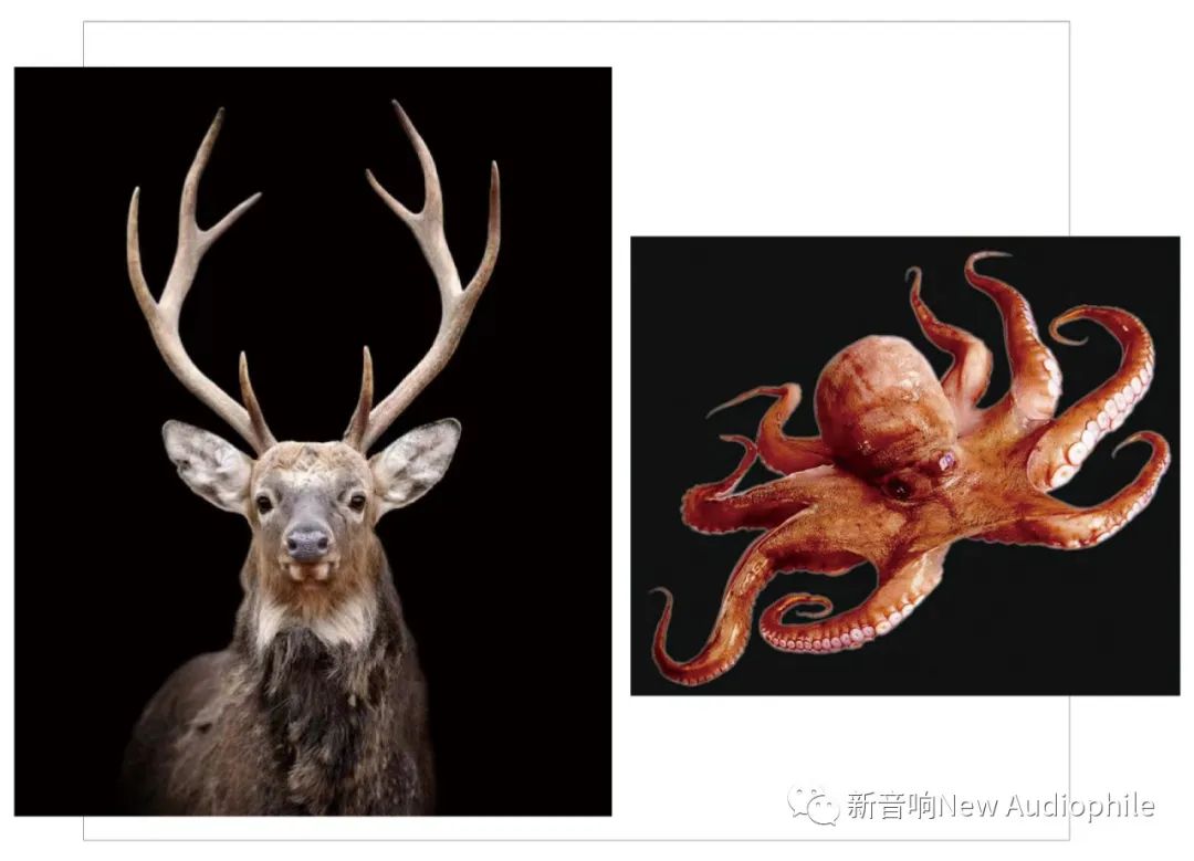1652855231134762.jpg 微信图片_20220518135736.jpg